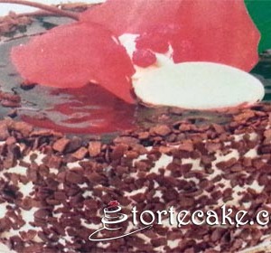 Vasina torta Ivana